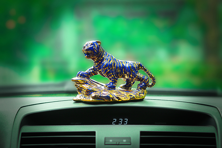 Khóa học cho người tuổi Dần