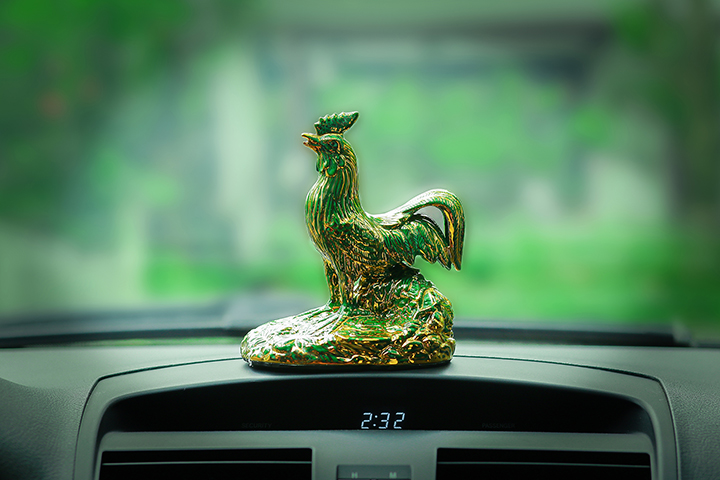 Khóa học cho người tuổi Dậu