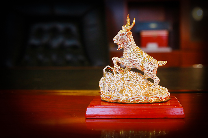 Khóa học cho người tuổi Mùi